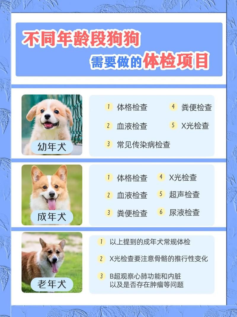 ドキドキセクハラ健康診断官网最新体检项目介绍
