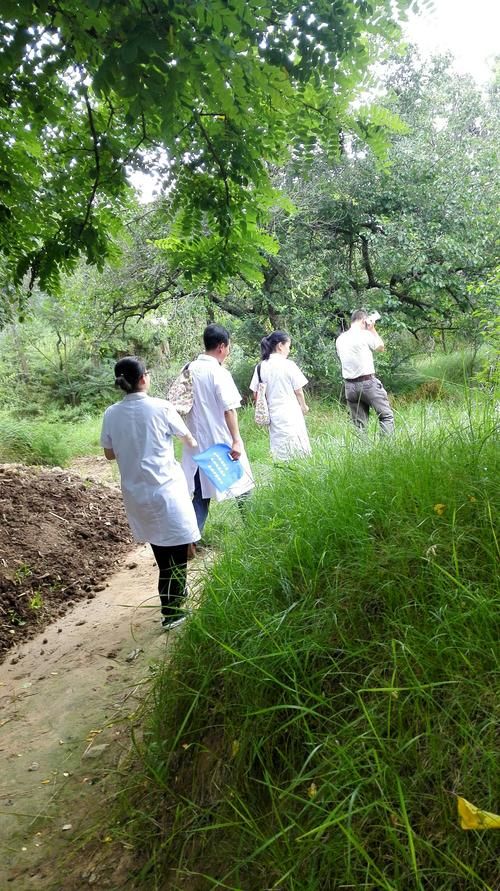 一个最好不要兑现的承诺aya线最新版本结局分析 一个最好不要兑现的承诺aya线最新版本结局分析