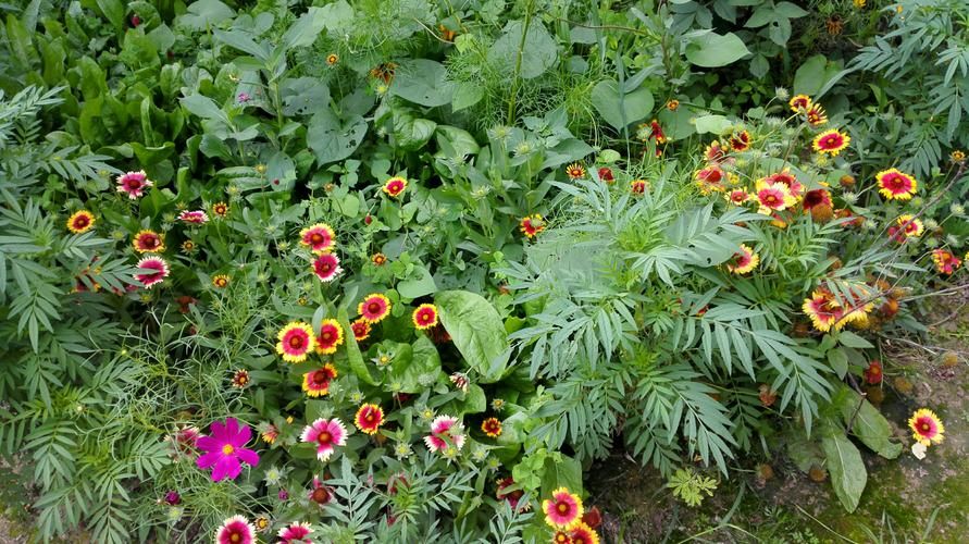 一个最好不要兑现的承诺aya线最新版本结局分析 一个最好不要兑现的承诺aya线最新版本结局分析