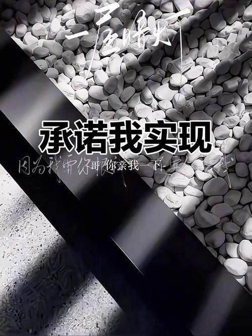 一个最好不要兑现的承诺在哪下载手机版资源