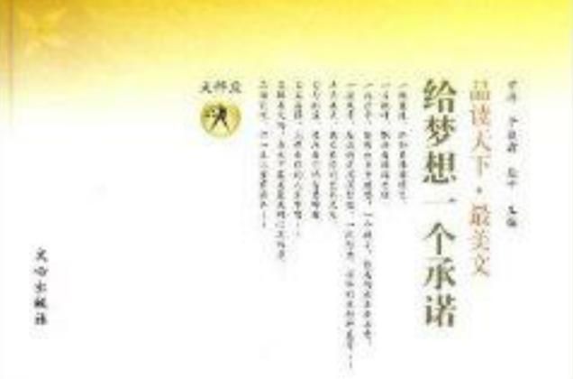 一个最好不要兑现的承诺最新版本究竟隐藏了什么秘密