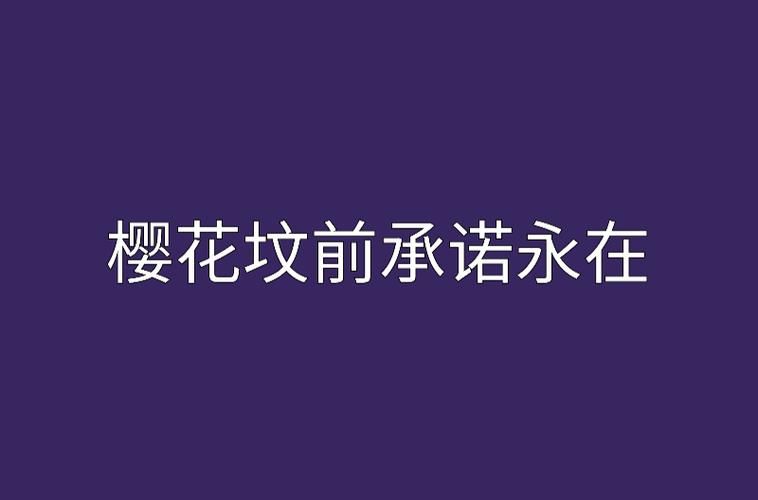 一个最好不要兑现的承诺汉化版下载安装教程