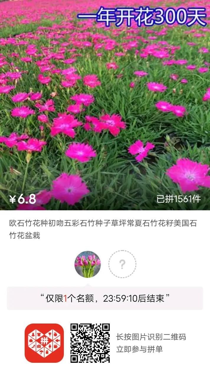 一夏之花安卓安装教程 轻松搞定下载问题