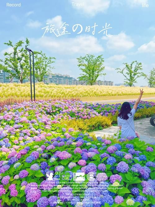 一夏之花安卓版下载 浪漫剧情游戏手机畅玩