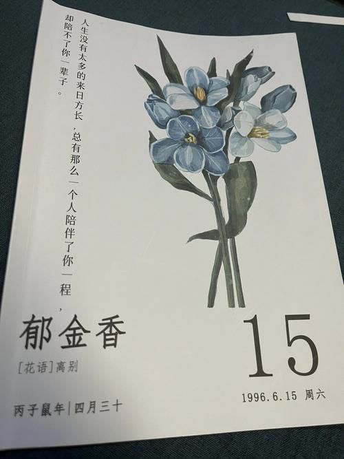一夏之花更新地址大全 最新可用链接汇总