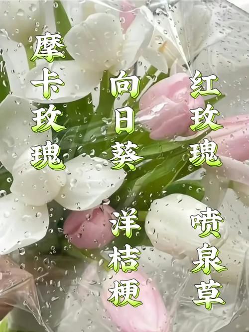 一夏之花更新地址大全 最新可用链接汇总