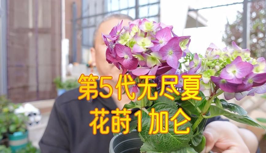 一夏之花更新地址大全 最新可用链接汇总