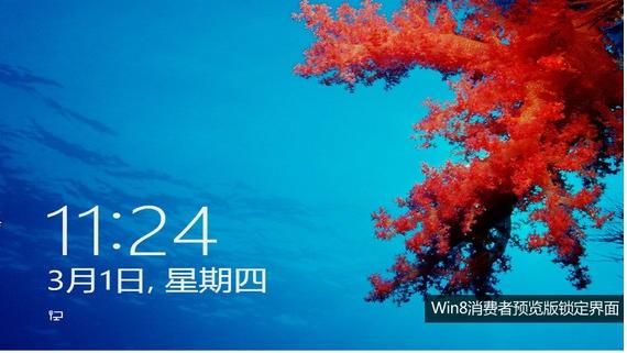 一夏之花汉化版下载地址分享 最新中文资源免费获取