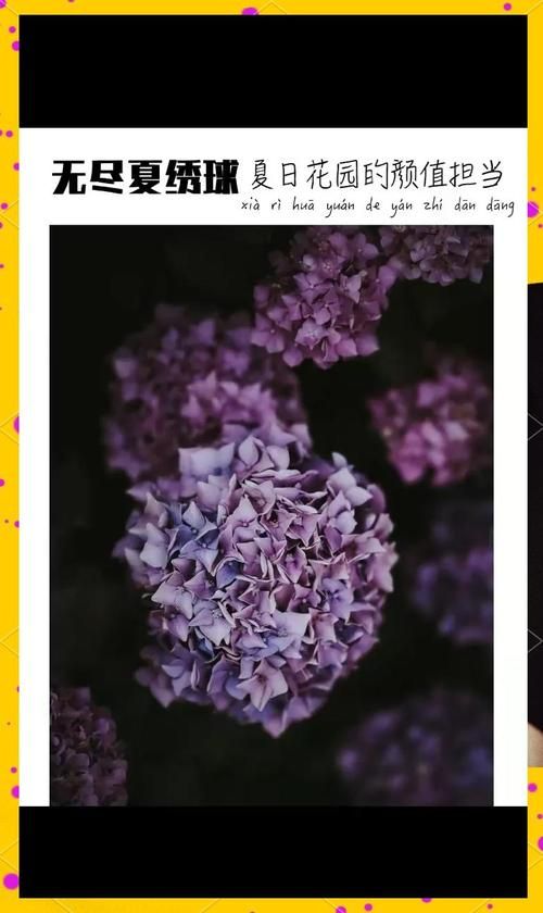 一夏之花游戏介绍 新手必看攻略指南