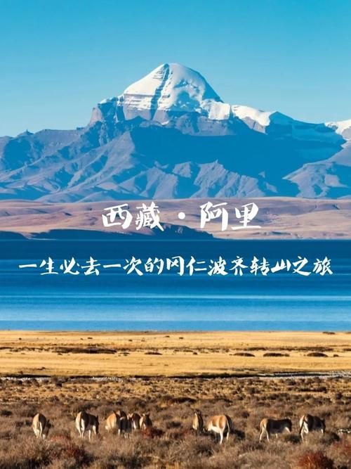 一生一次官网为你解锁最独特的旅行玩法