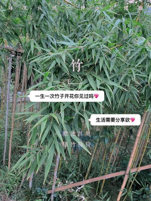 一生一次最新版本是多少 教你快速查看版本号