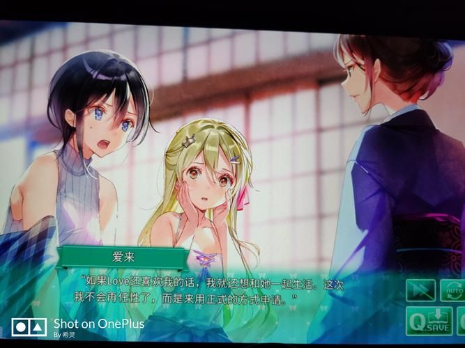 一生推不如一生恋2最新版本怎么玩新手必看指南