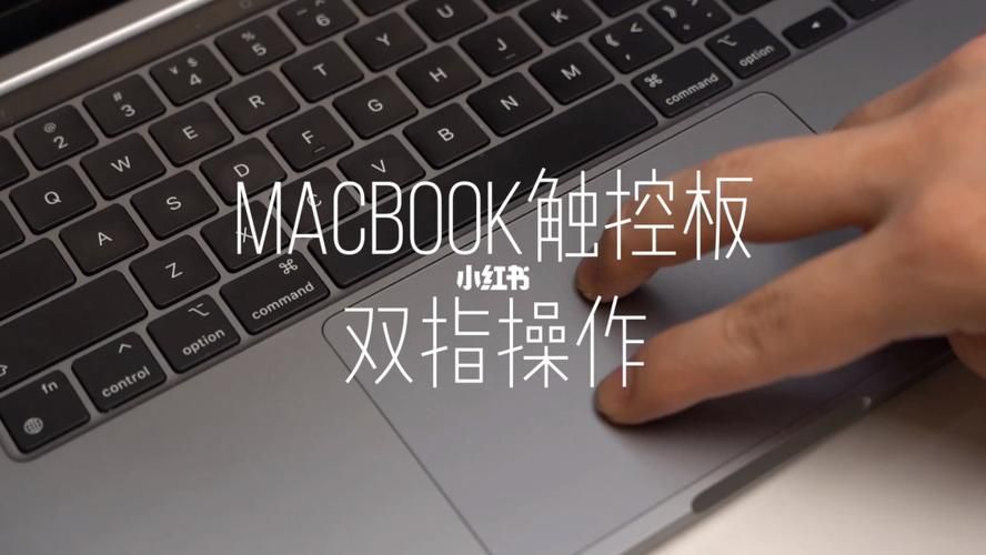 万事屋最新版本使用技巧 教你玩转所有隐藏功能