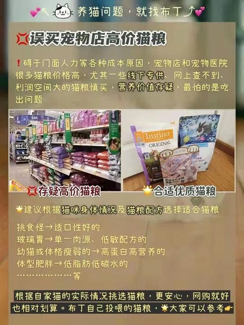 三十天在哪下载 快速获取资源不踩坑指南