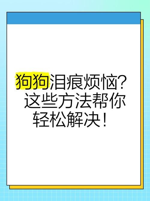三十天如何下载常见问题 这些方法帮你解决