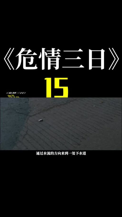 三日危情游戏官网新手入门指南与常见问题