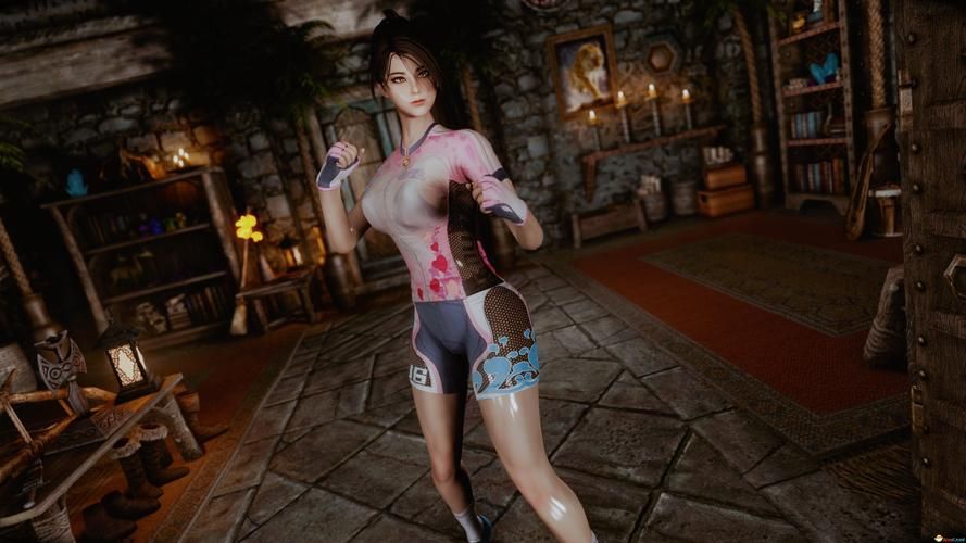 上古卷轴5绅士游戏mod推荐 这些美化包太顶了