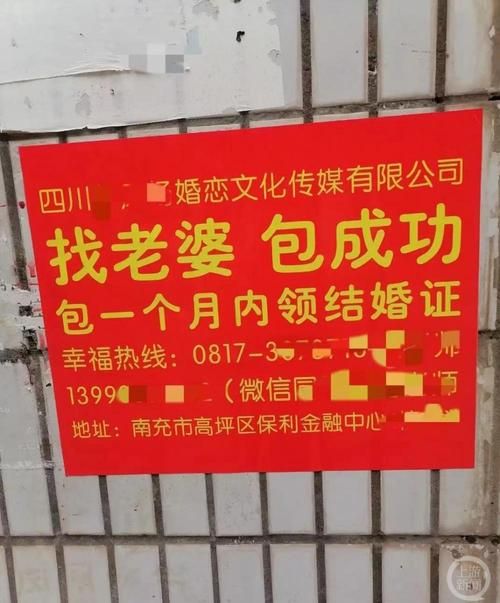 下载妻子的电话安卓版 安全可靠无广告