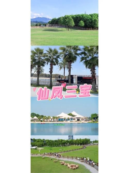 下载炙热的岛国生活安卓版 感受阳光沙滩的浪漫