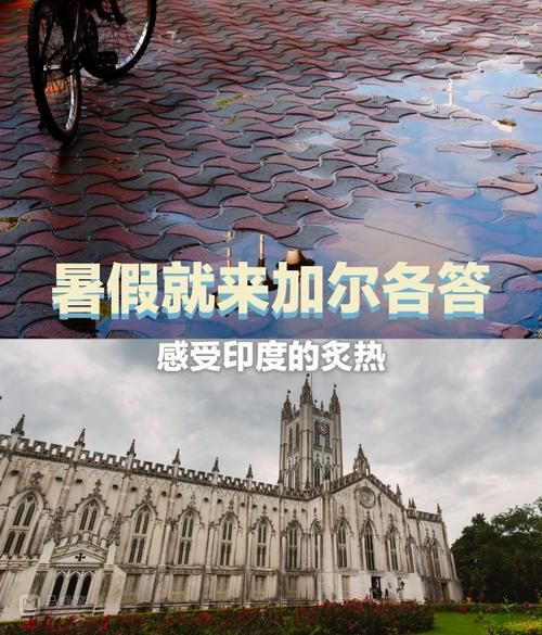 下载炙热的岛国生活安卓版 感受阳光沙滩的浪漫