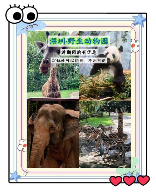 下载蓝宝石野生动物园安卓版 与动物亲密互动