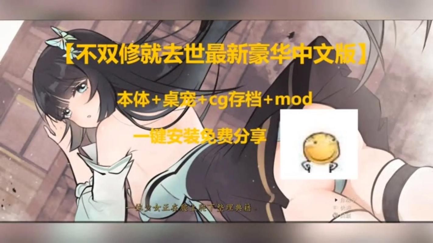 不双修就去世安卓汉化版常见问题解决方法