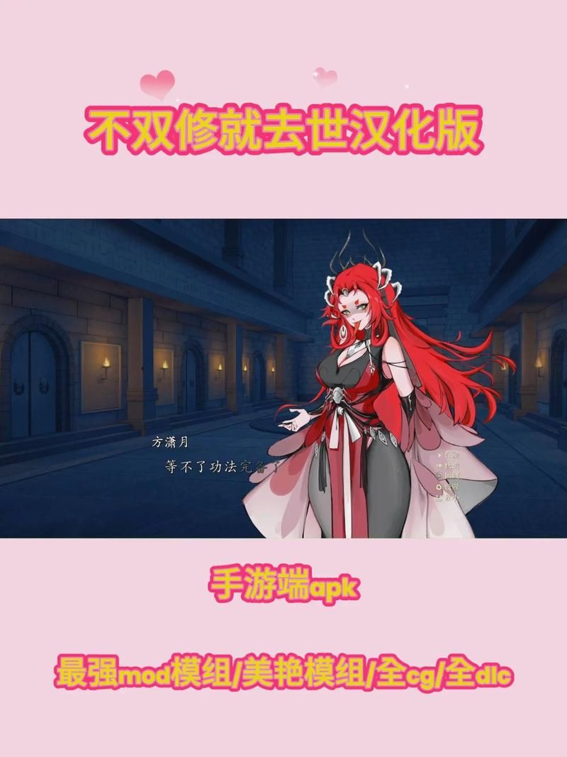 不双修就去世安卓汉化版常见问题解决方法