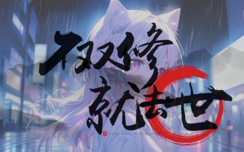 不双修就去世安卓版常见问题解决方法