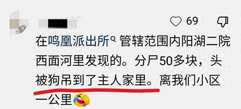 不和谐最新资讯带你了解最新内幕
