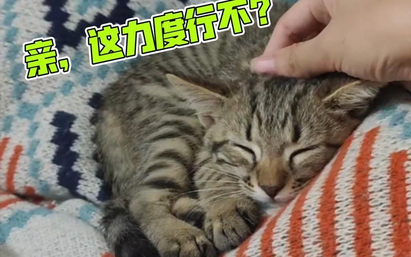 不良少年变顾客我的按摩店经历版本大全