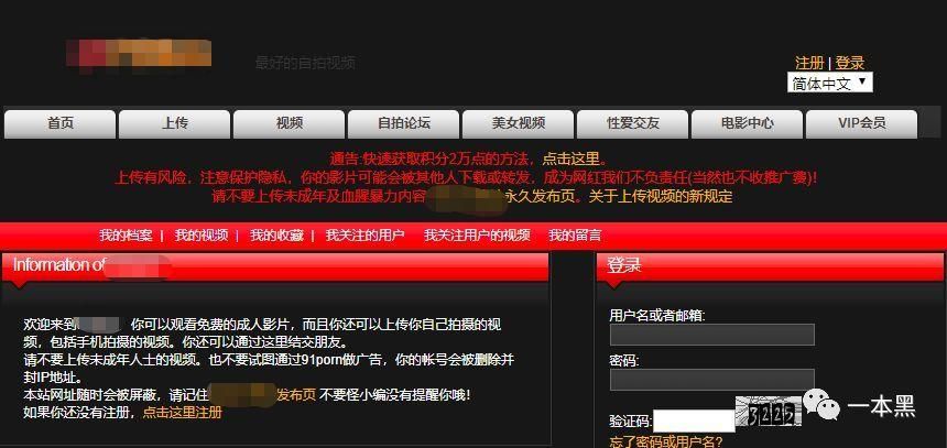 不雅的欲望最新版本资源获取方法大全