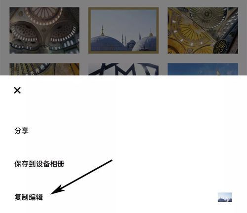 不需要爱最新版本使用教程 手把手教你玩转
