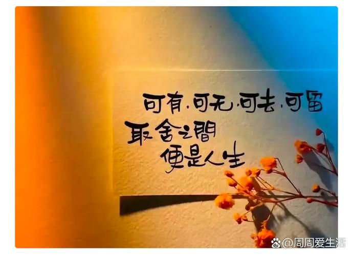 不需要爱最新解读 现代人为什么越来越独立