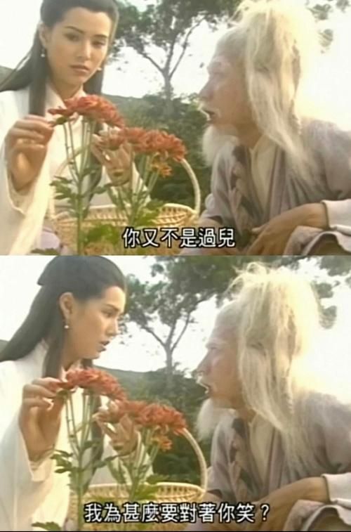 不需要爱杨过游戏攻略分享新手必看技巧