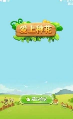 不需要爱汉化版下载快速通道稳定不卡顿
