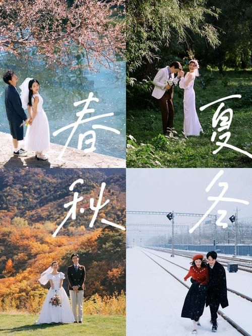 与你共度的夏日在哪下载 电脑手机版安装指南