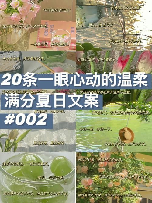 与你共度的夏日汉化版更新了哪些新内容