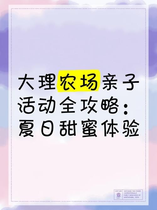 与你共度的夏日游戏体验 亲子情侣都爱玩的夏日活动
