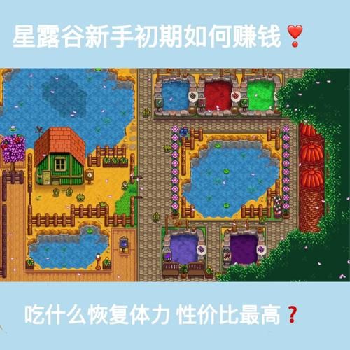 与僵尸娘在荒岛生存官网新手必看生存技巧