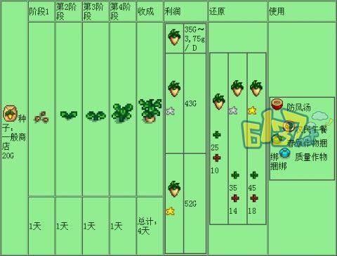 与女大生的同居生活游戏攻略 日常互动玩法解析