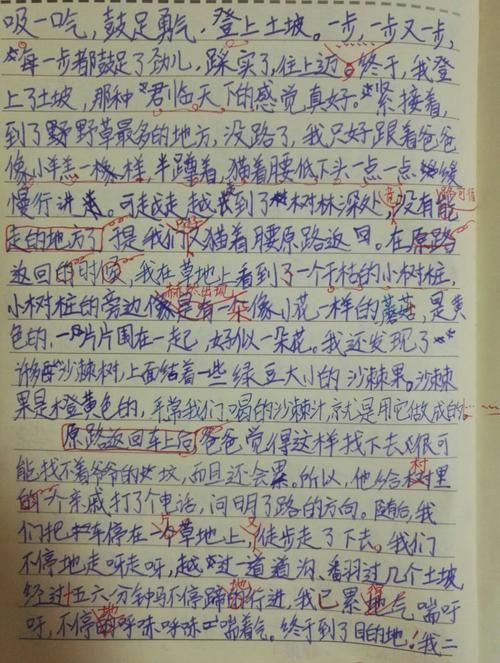 与妈妈一起隔离官方网站记录我们的隔离生活点滴