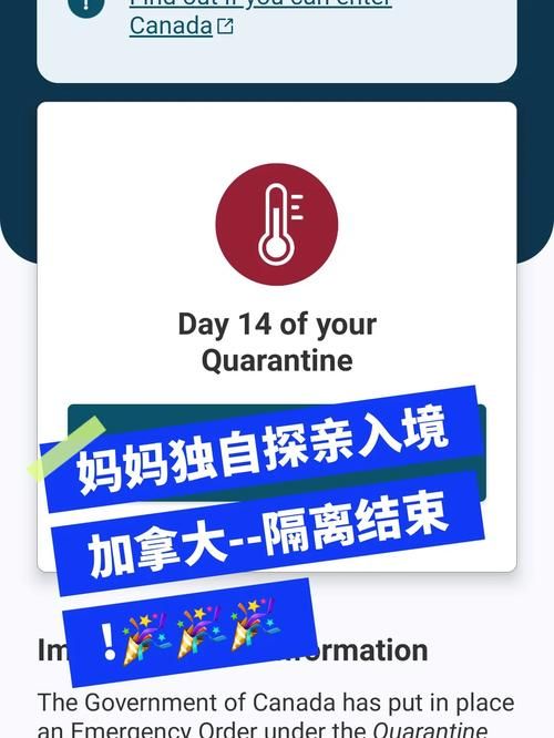 与妈妈一起隔离汉化版游戏下载安装教程