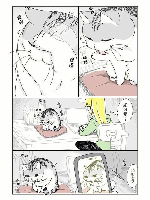 与妹妹共度一个月下载地址中文版免费获取
