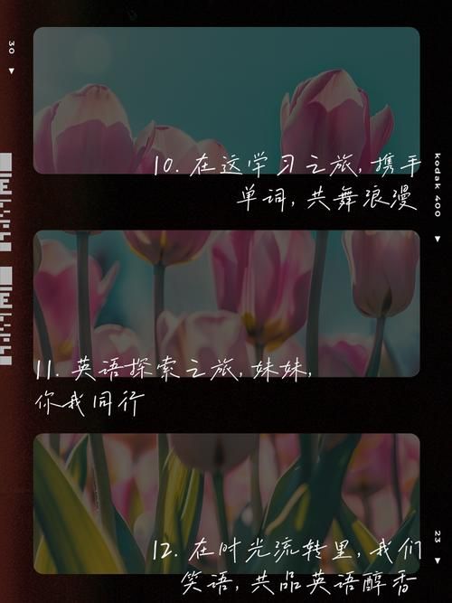 与妹妹共度一个月如何下载高清视频和软件