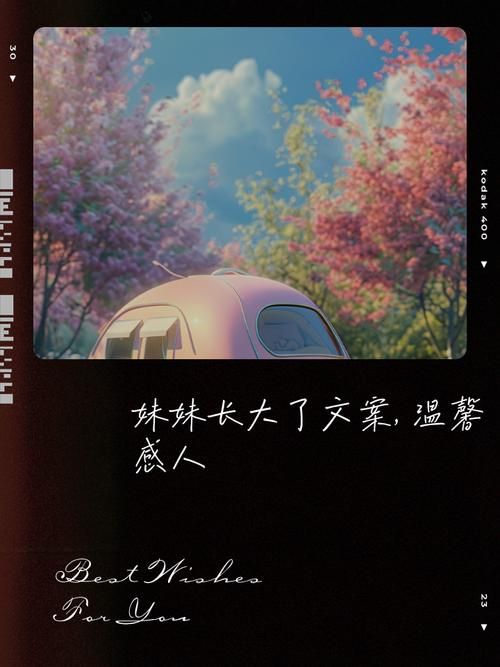 与妹妹共度一个月如何下载高清视频和软件