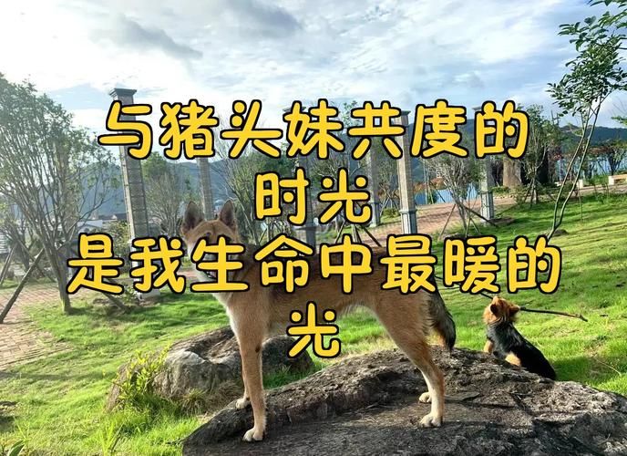 与妹妹共度一个月官方正式版下载最新版游戏体验分享