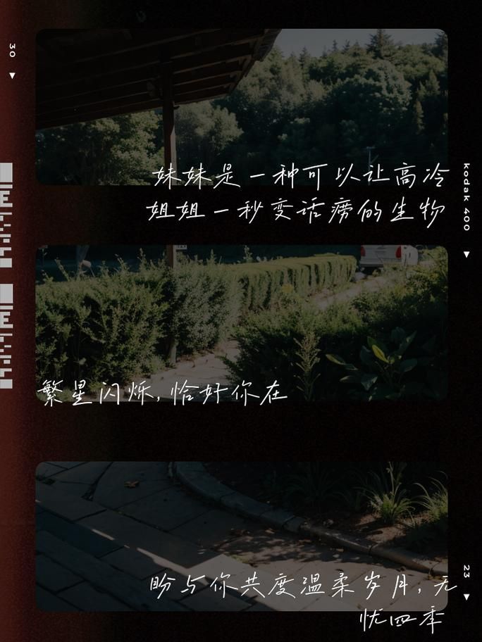 与妹妹共度一个月官方网站教你如何增进兄妹感情