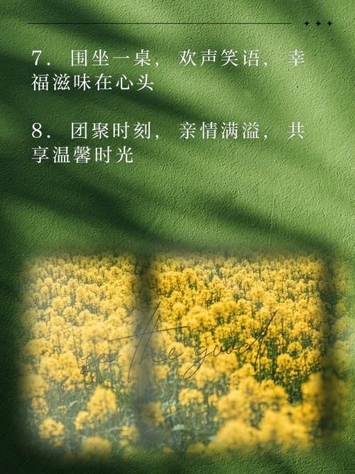 与妹妹共度一个月官网分享亲情时光的温馨记录