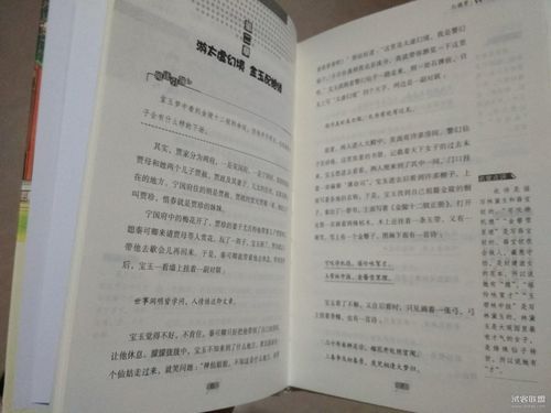 与妹妹共度一个月版本大全 完整体验报告