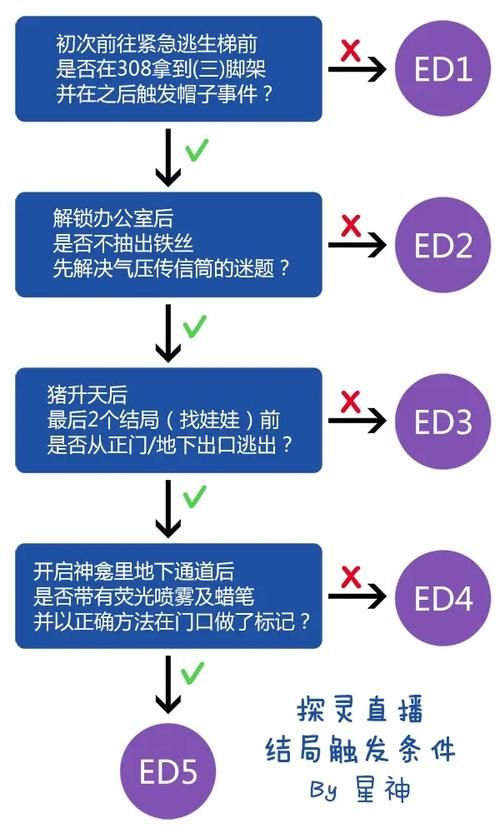 与杏奈的同居14日游戏攻略 全选项分支路线解析